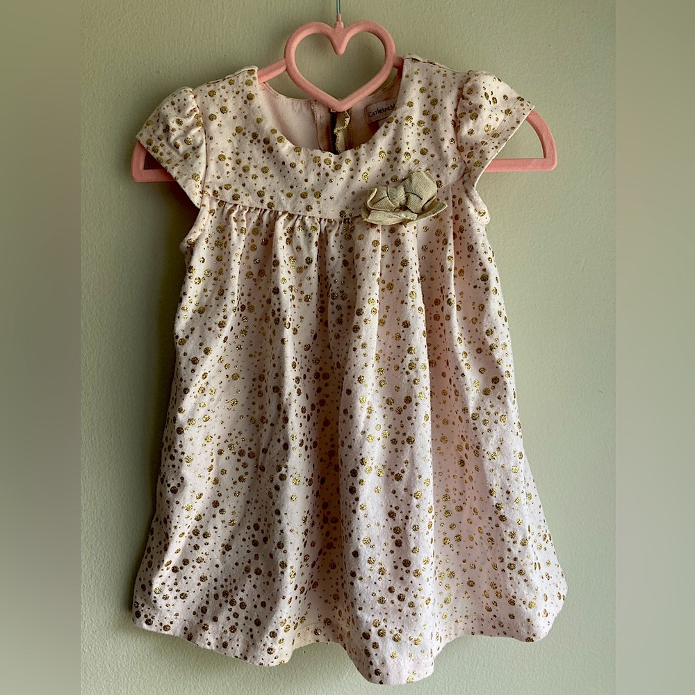 Catherine Malandrino Pink Sparkly Toddler Dress eith Zip-up back 2T-3T